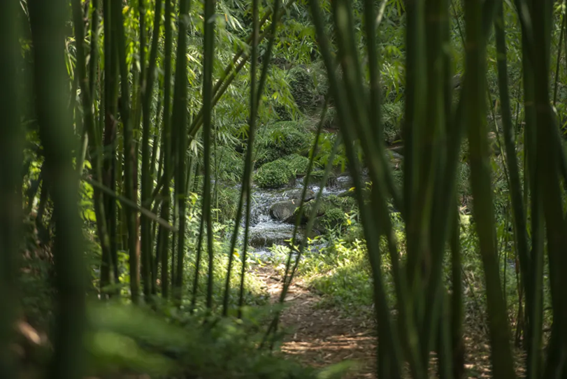 1745722810179777.png 微信图片_20250427105953.png